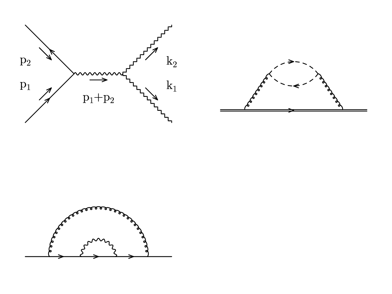 feynman_test.gle